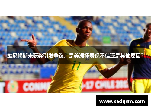 维尼修斯未获奖引发争议,是美洲杯表现不佳还是其他原因?